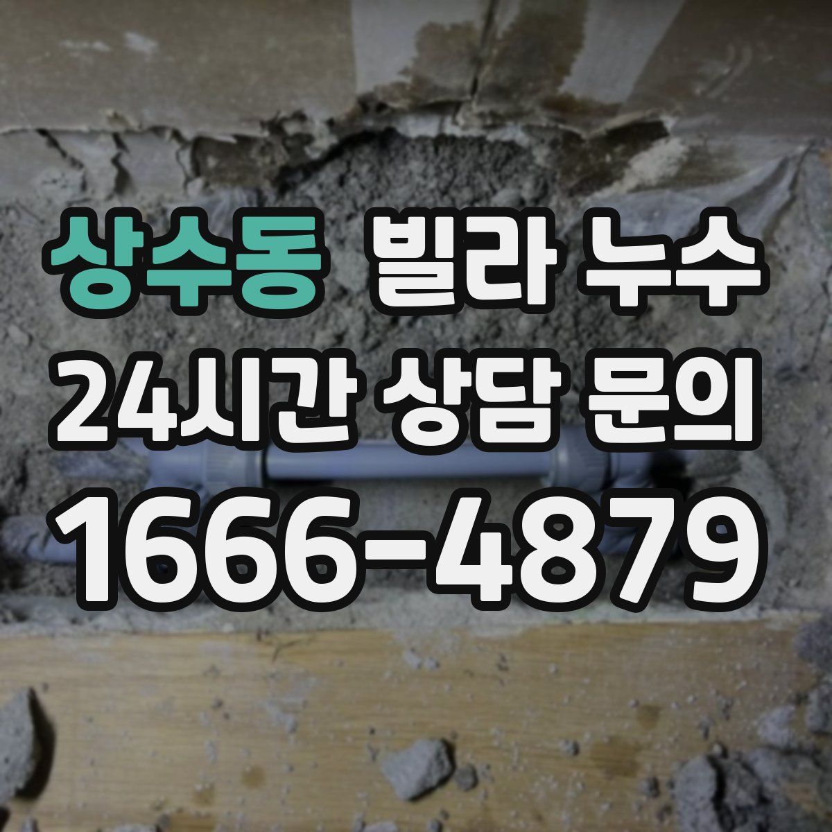 상수동 빌라 누수