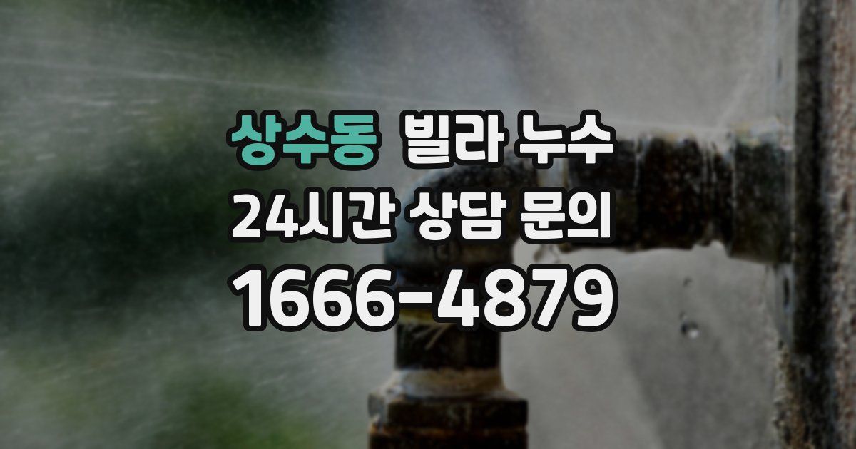 상수동 빌라 누수