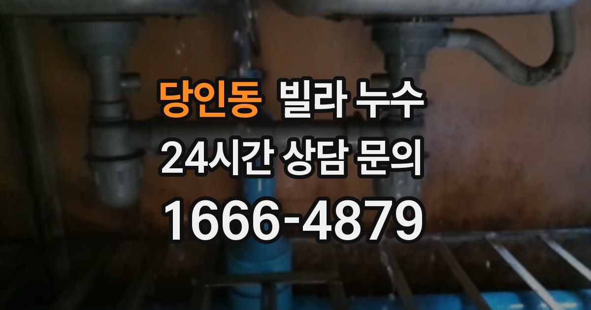 당인동 빌라 누수