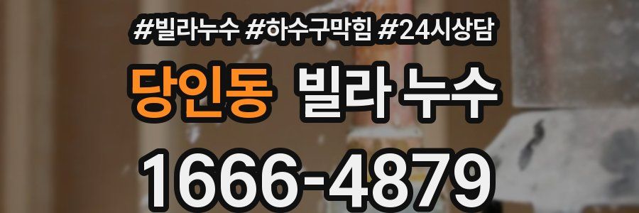 당인동 빌라 누수