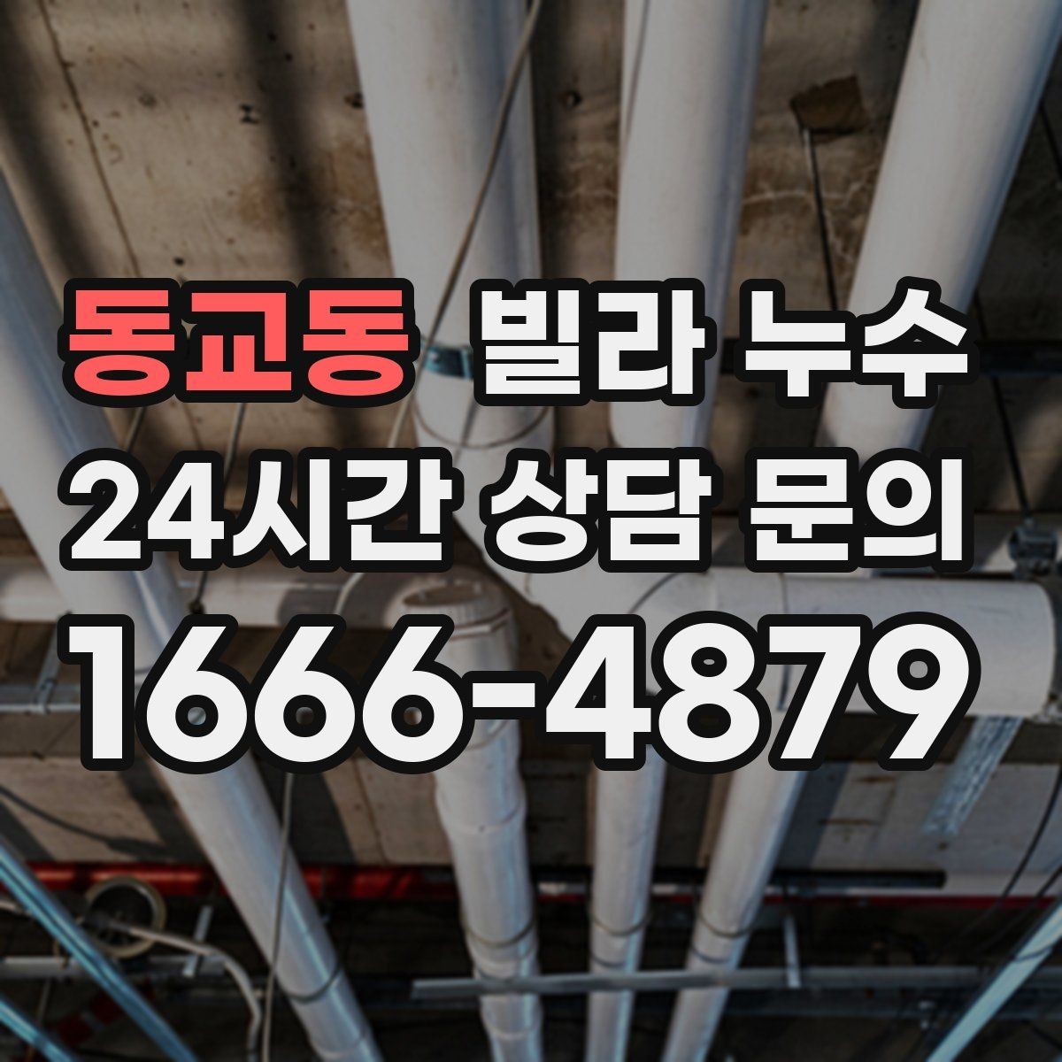 동교동 빌라 누수 계단실 주변이 젖을 때 확인해야 할 것
