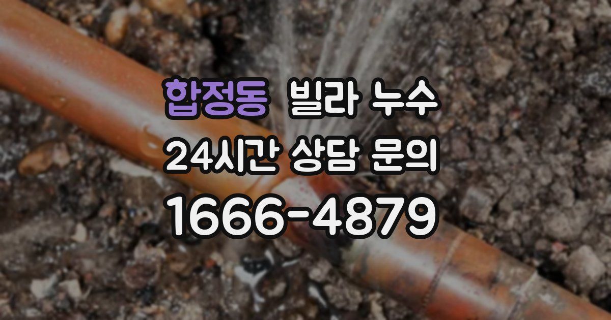 합정동 빌라 누수