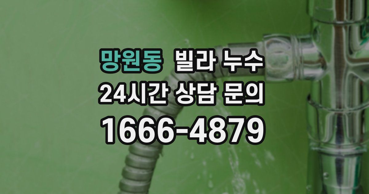 망원동 빌라 누수