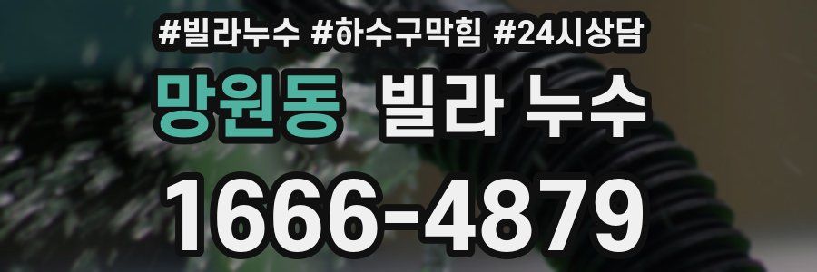 망원동 빌라 누수