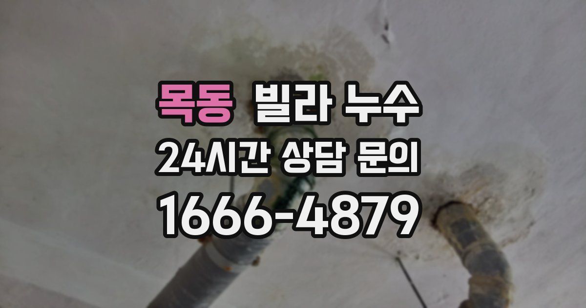 목동 빌라 누수