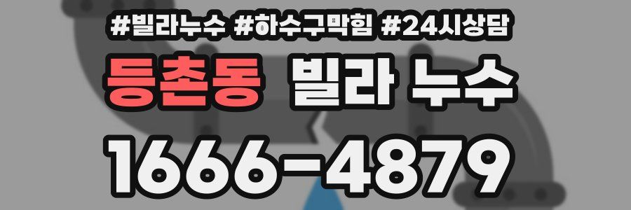 등촌동 빌라 누수