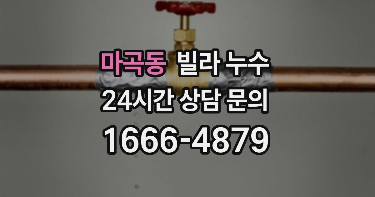 마곡동 빌라 누수