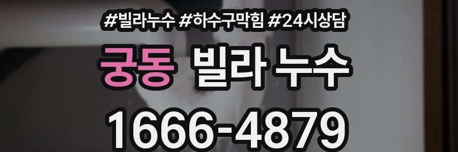 궁동 빌라 누수