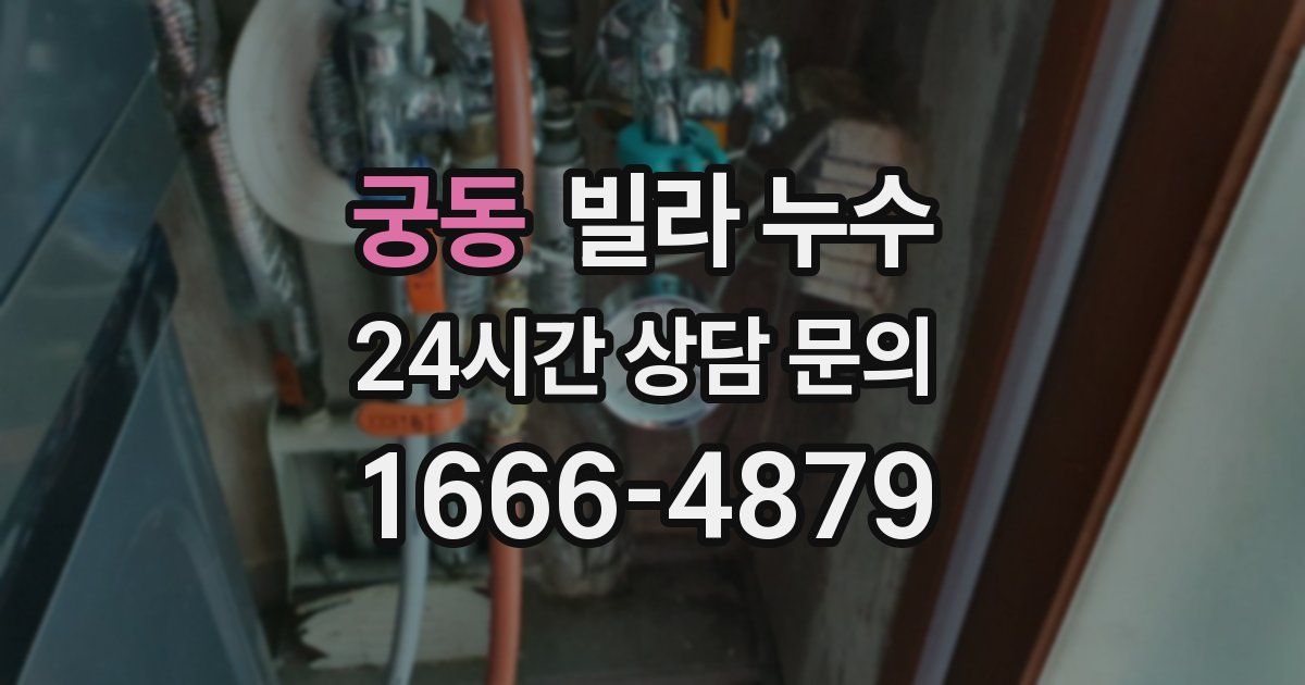 궁동 빌라 누수