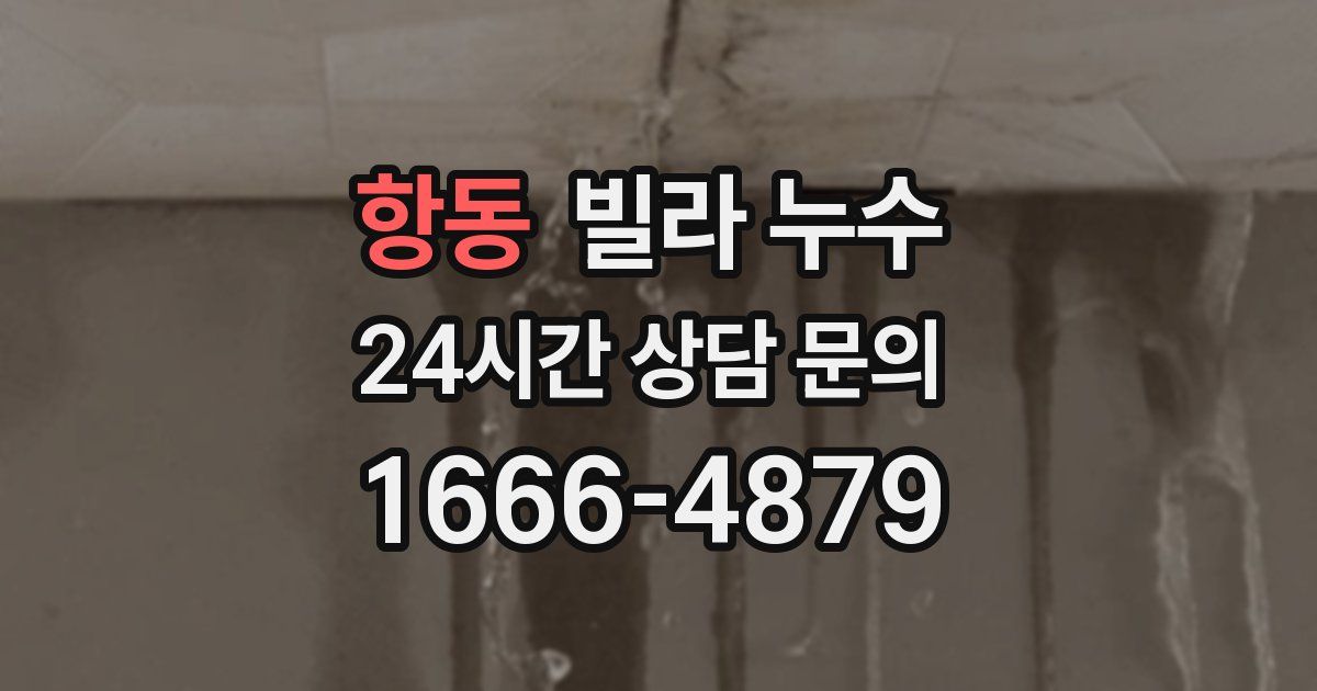 항동 빌라 누수