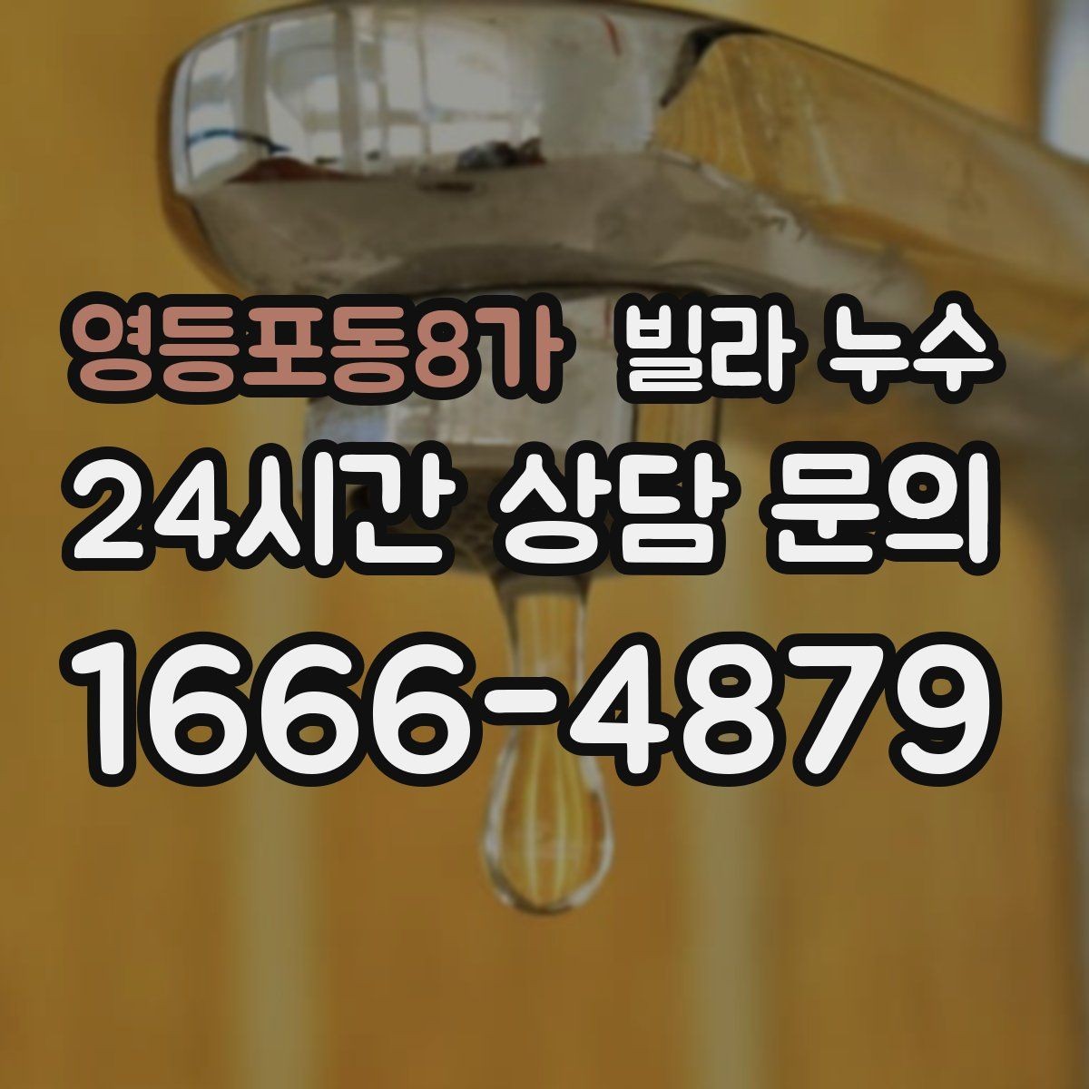 영등포동8가 빌라 누수 공동현관 쪽 벽이 젖는다면 외부 유입 가능성