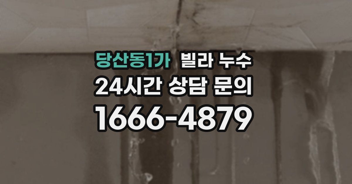 당산동1가 빌라 누수