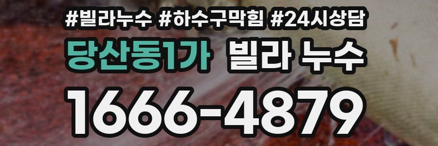 당산동1가 빌라 누수