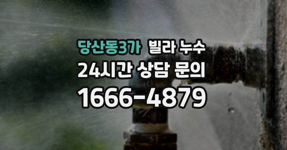 당산동3가 빌라 누수