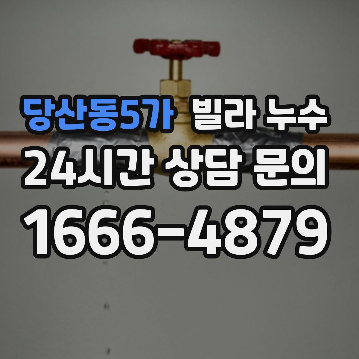 당산동5가 빌라 누수 누수는 원인부터 잡아야 끝납니다