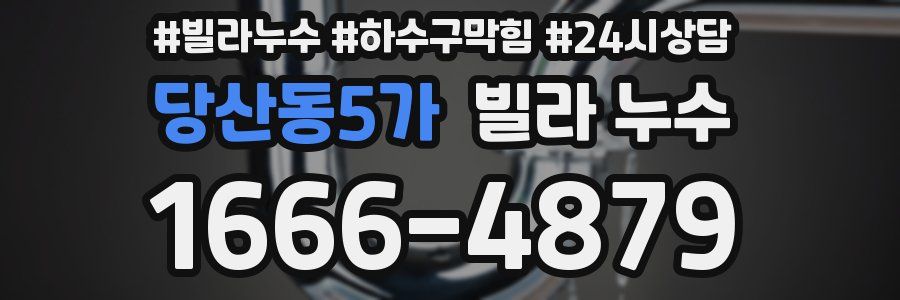 당산동5가 빌라 누수