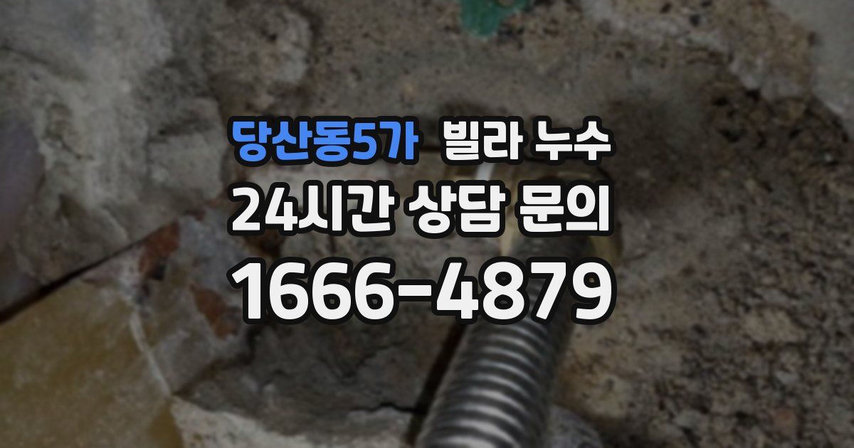 당산동5가 빌라 누수