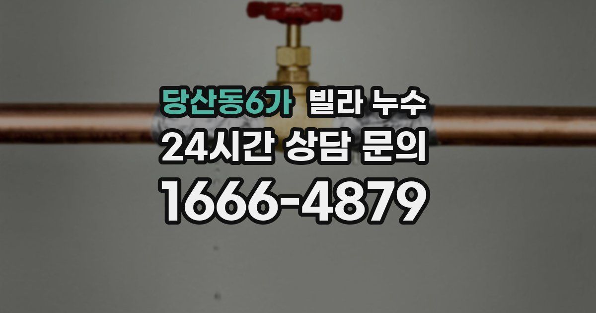 당산동6가 빌라 누수