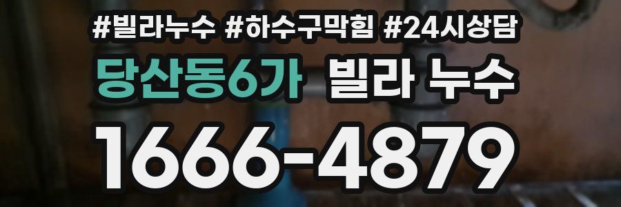 당산동6가 빌라 누수