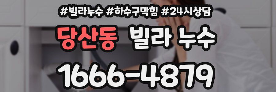 당산동 빌라 누수