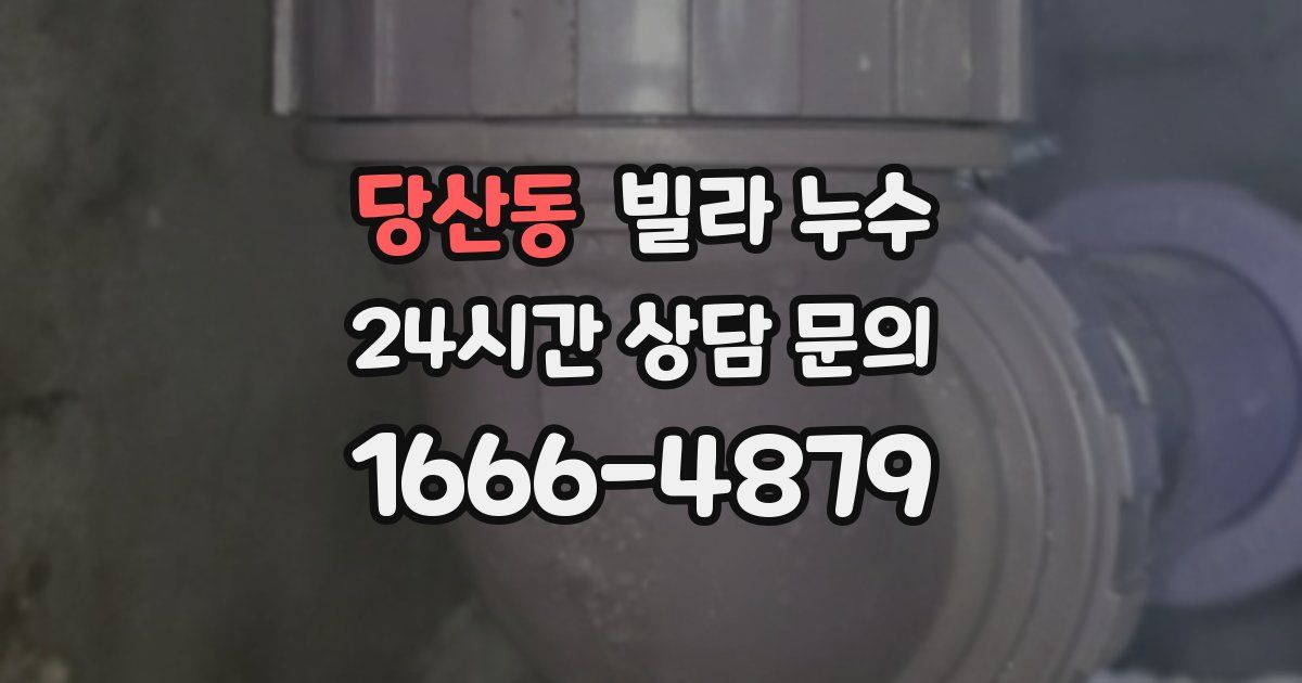 당산동 빌라 누수