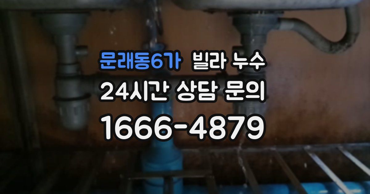 문래동6가 빌라 누수