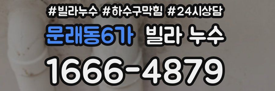 문래동6가 빌라 누수