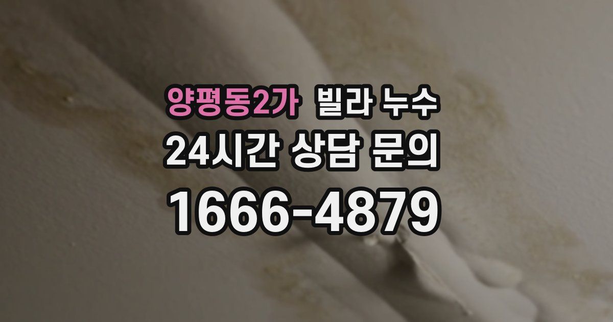양평동2가 빌라 누수