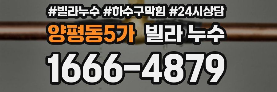 양평동5가 빌라 누수