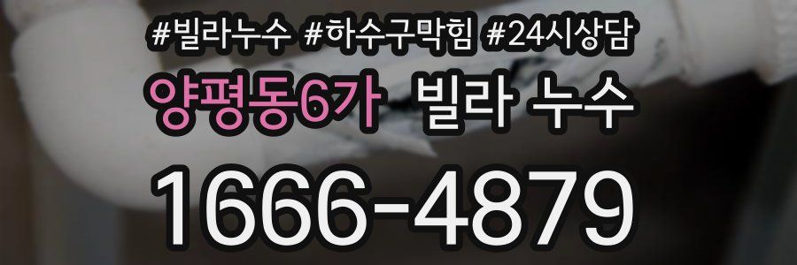 양평동6가 빌라 누수