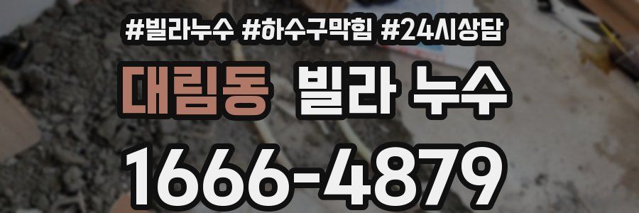 대림동 빌라 누수