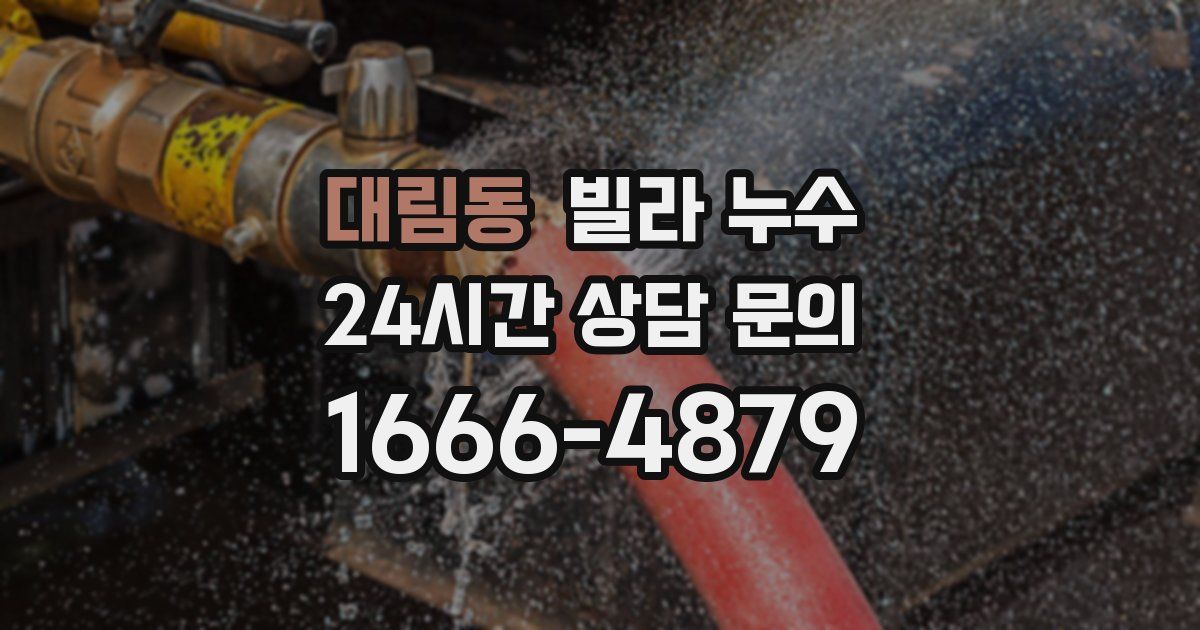 대림동 빌라 누수