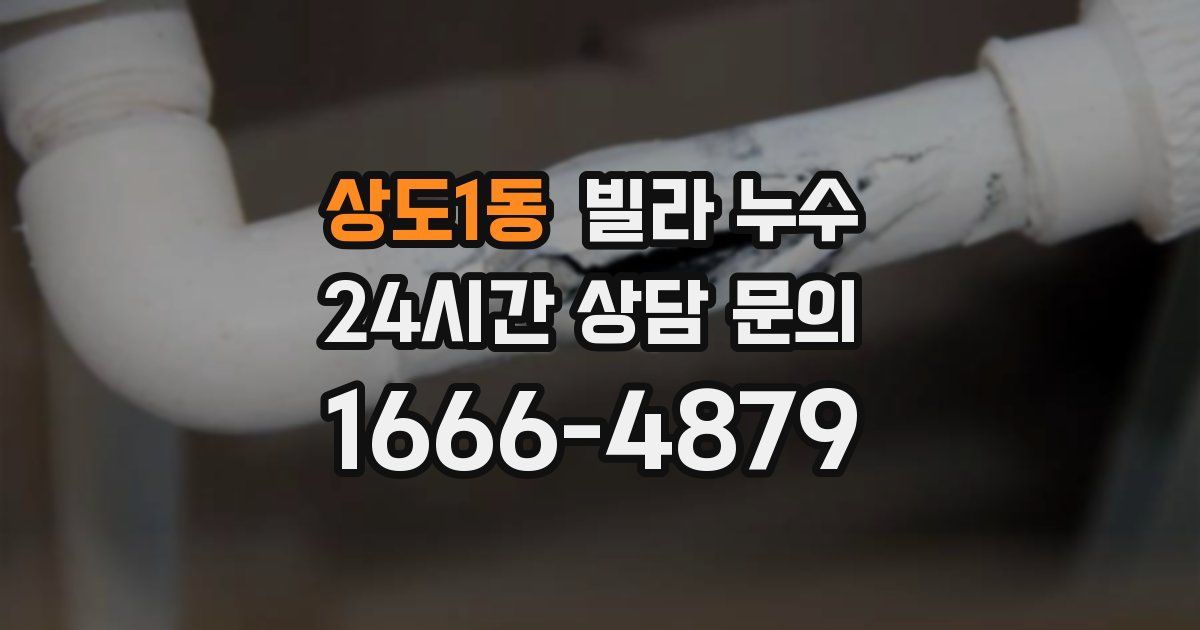 상도1동 빌라 누수