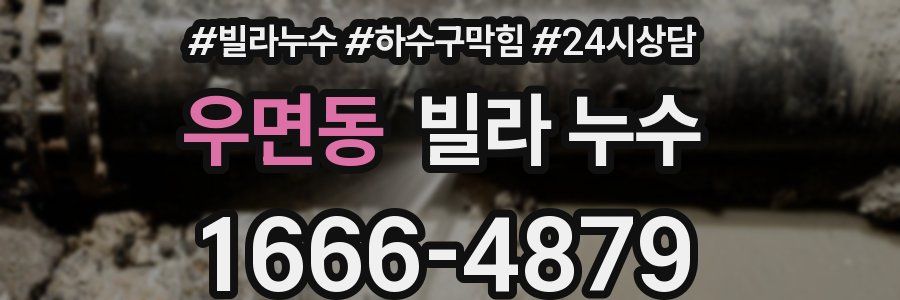 우면동 빌라 누수