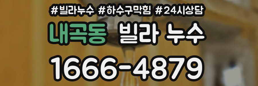 내곡동 빌라 누수