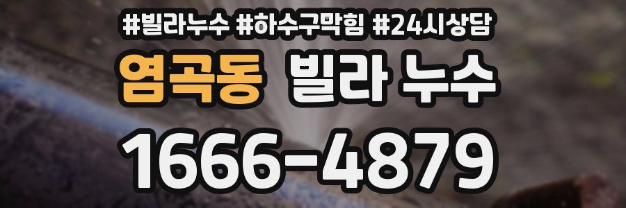 염곡동 빌라 누수