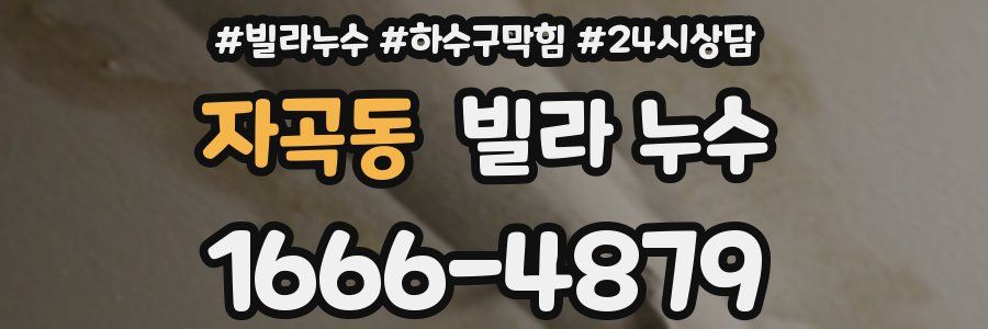 자곡동 빌라 누수