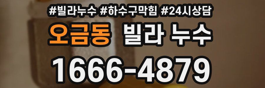 오금동 빌라 누수