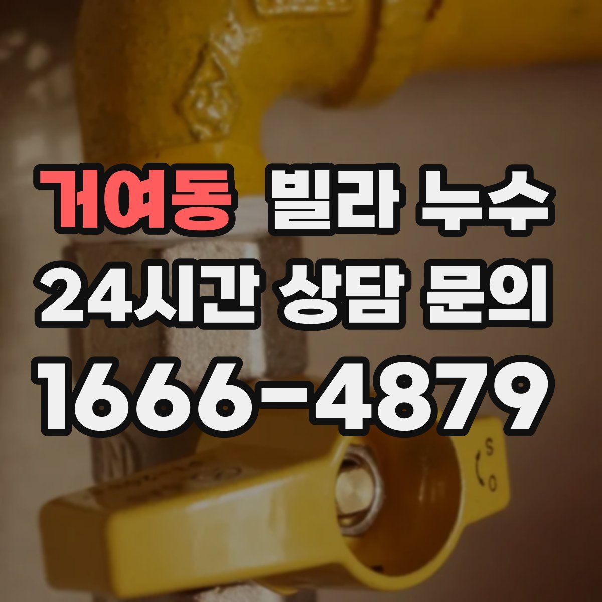 거여동 빌라 누수