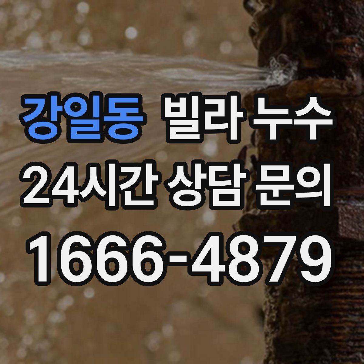 강일동 빌라 누수 세탁실 배수구가 넘치면 누수처럼 보일 수 있어요