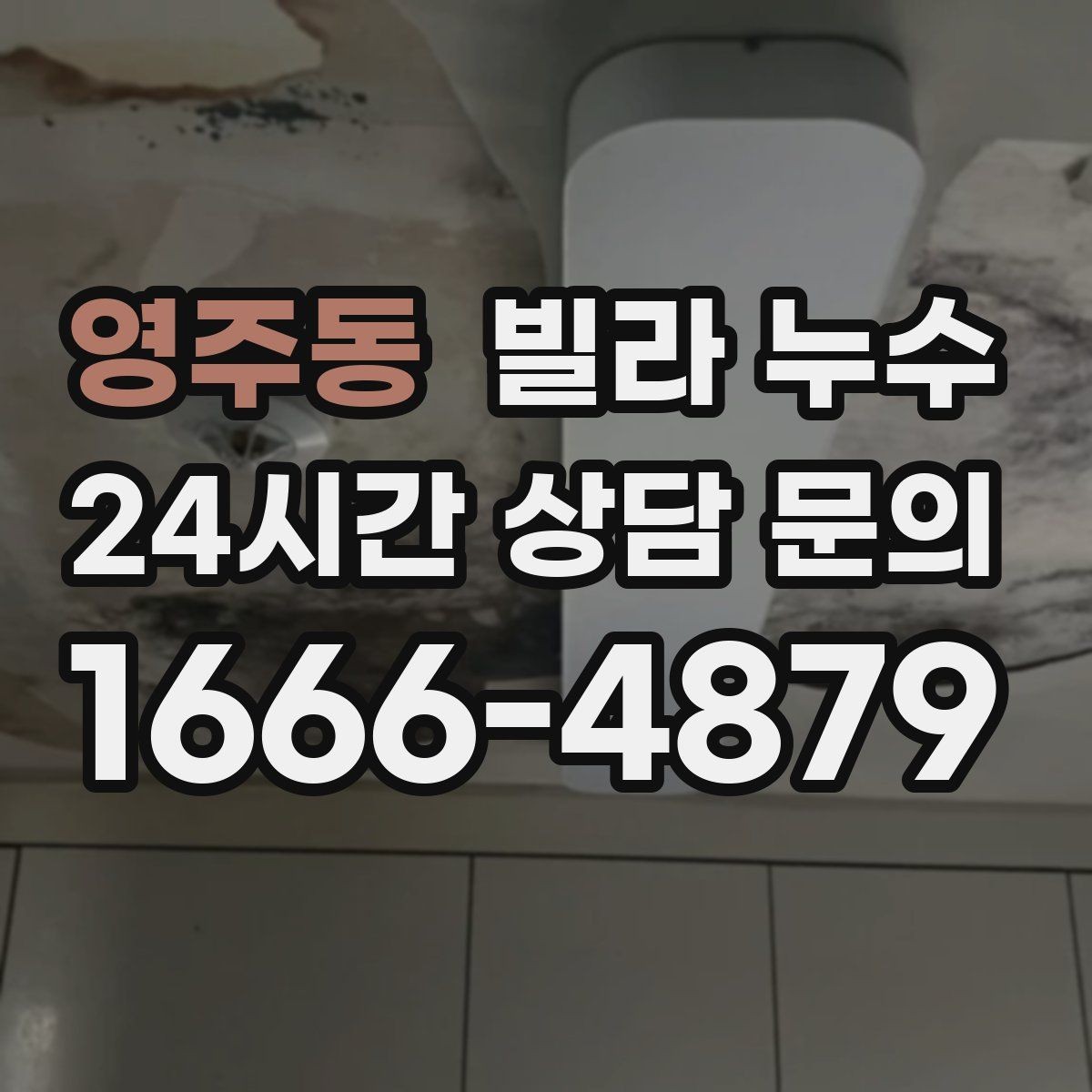 영주동 빌라 누수 벽지 이음새가 벌어지면 누수를 의심해보세요
