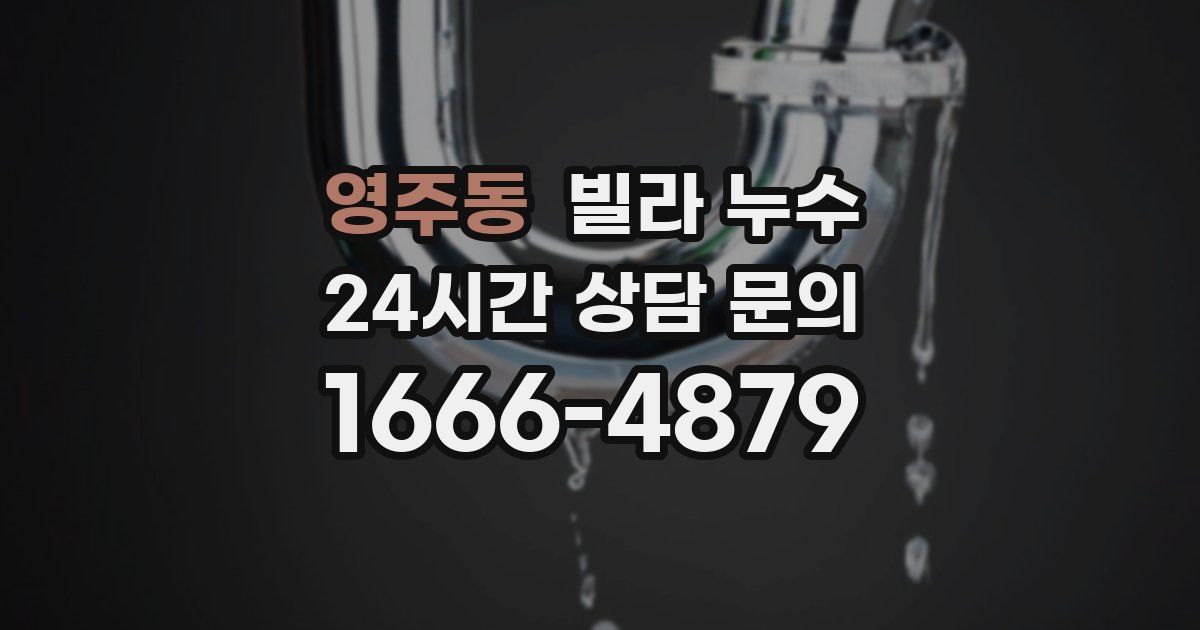 영주동 빌라 누수