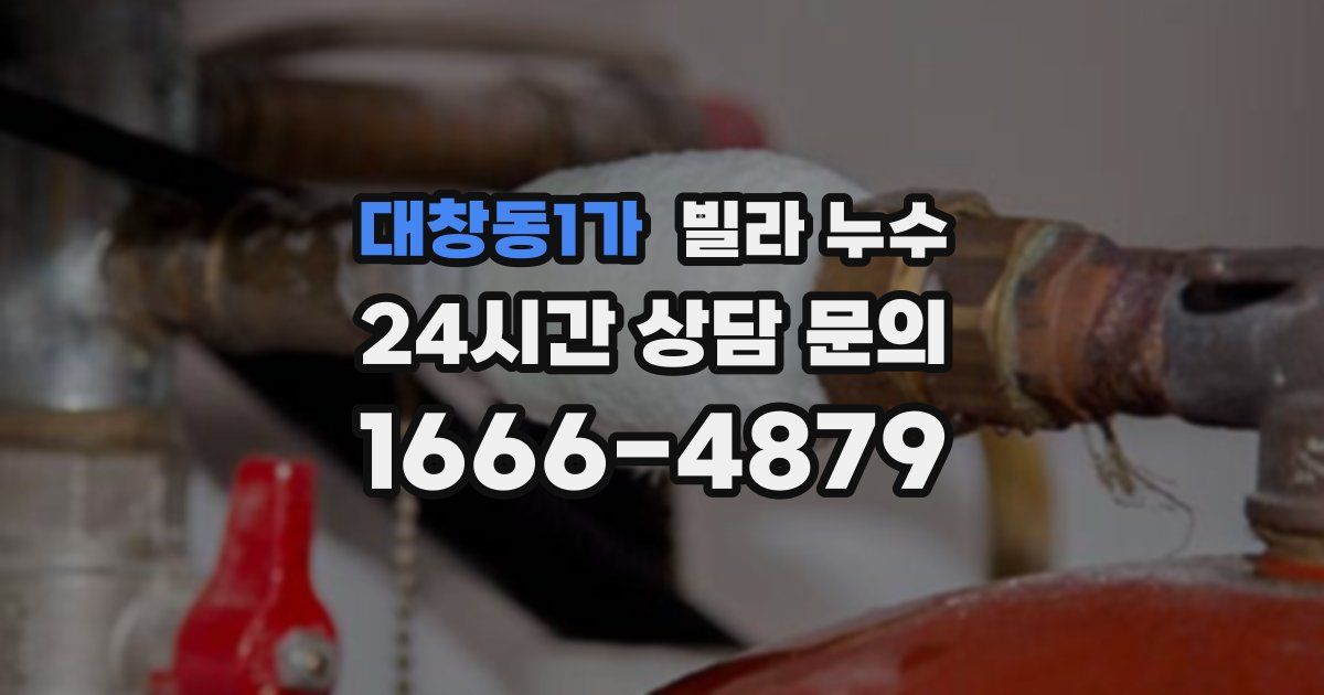 대창동1가 빌라 누수