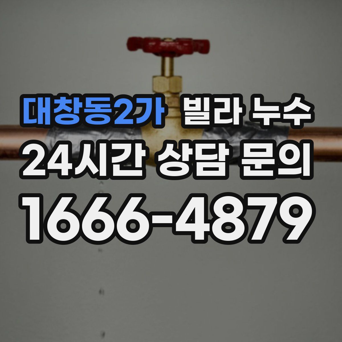 대창동2가 빌라 누수