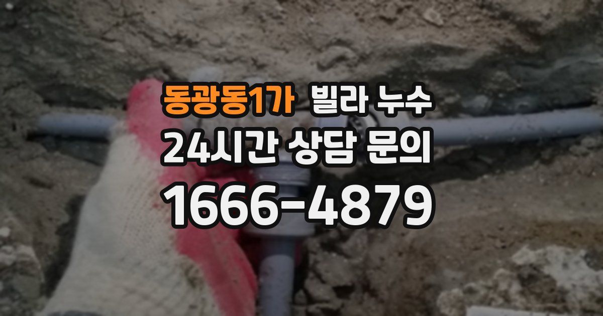 동광동1가 빌라 누수