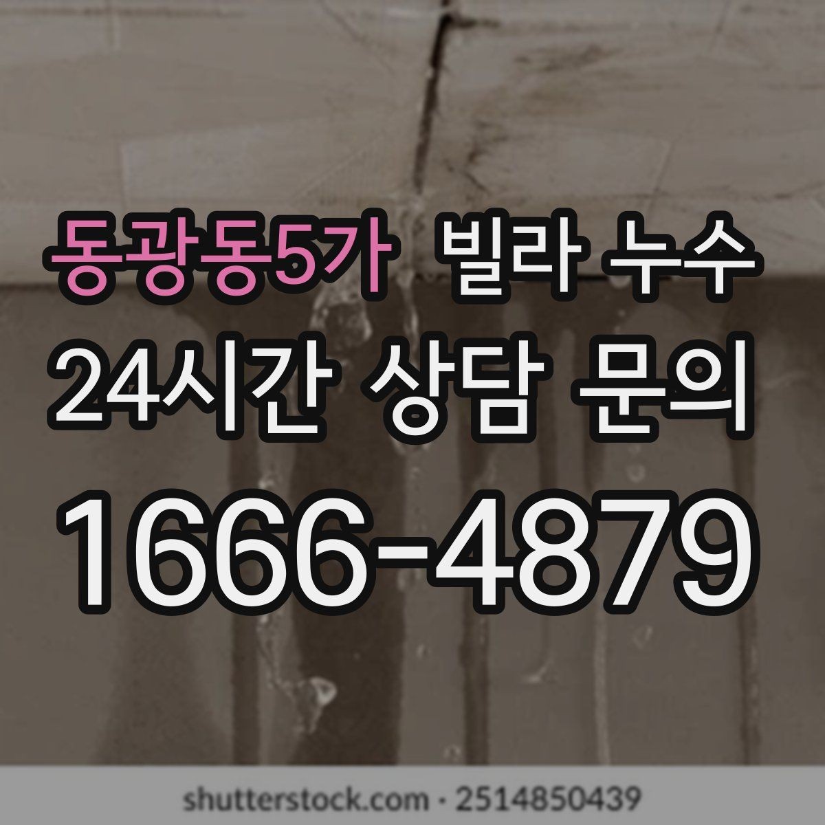 동광동5가 빌라 누수 곰팡이 냄새가 강해지면 내부 습기 신호