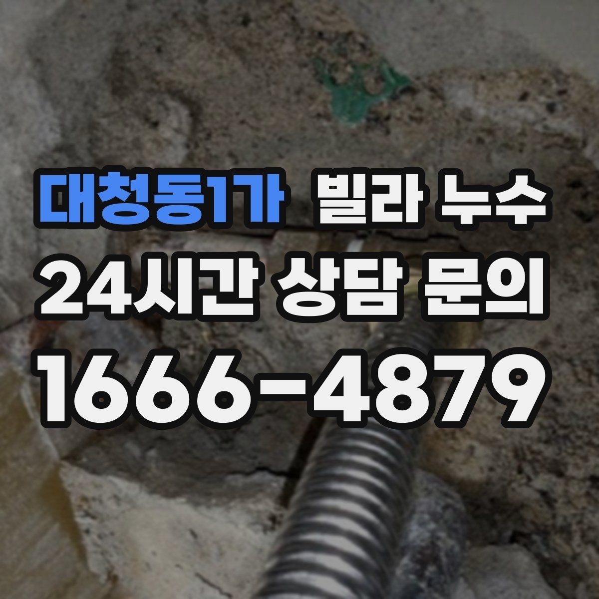 대청동1가 빌라 누수 복도 벽이 젖는다면 공용부도 의심