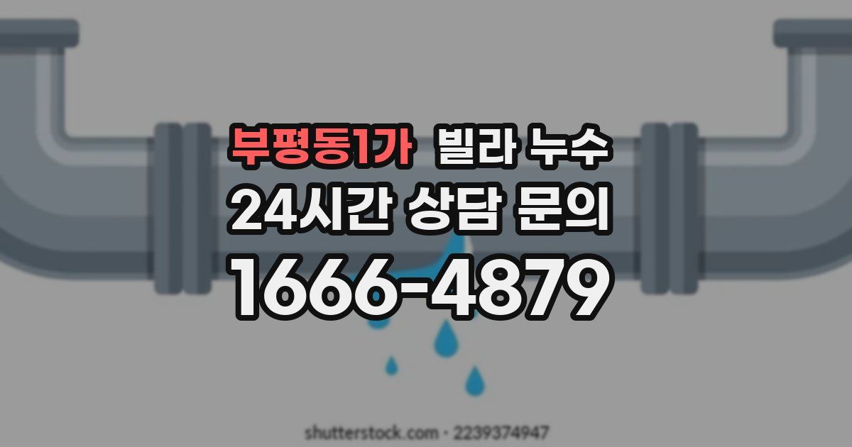 부평동1가 빌라 누수