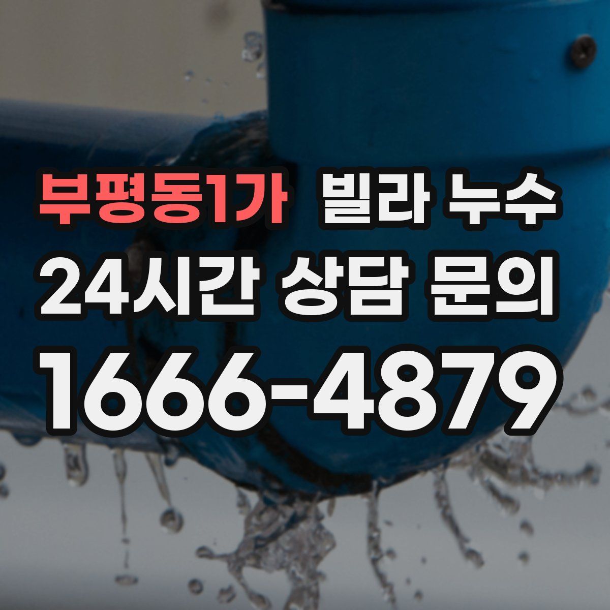 부평동1가 빌라 누수