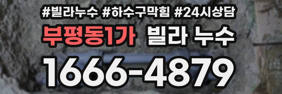부평동1가 빌라 누수